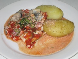 Katkarapusilakat