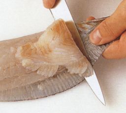 Nahan irrottaminen fileestä