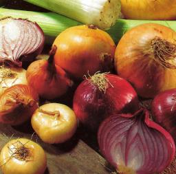 Valikoima erilaisia sipuleita