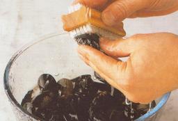 Juuresharjalla harjaa simpukat