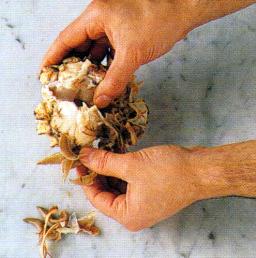 Vatsalaukun ja kidukset heität menemään