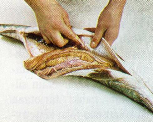 Verinen