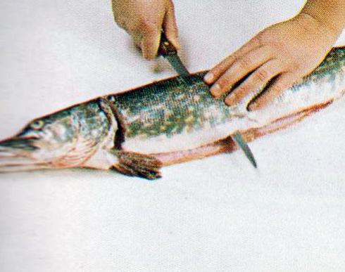 Verinen