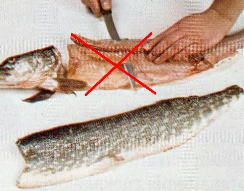 Verinen