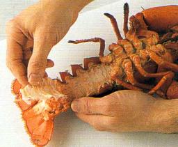 Pyrstön alapinnan kuoren irrottaminen