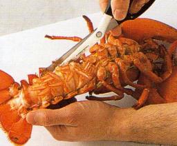 Pystön tukien irrottaminen