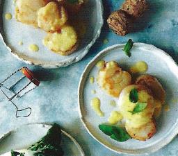 Kampasimpukoita samppanjakastikkeessa tarjoiluvalmiina