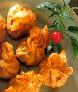 Kasvistäytteiset wonton-nyytit lautasella