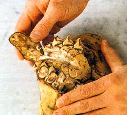 Pyrstön katkaiseminen