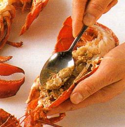 Koverra vihreä maksa