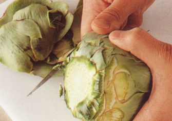 Leikkaa kanta ja alimmat lehdet pois