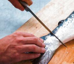 Leikkaa pyrstö irti pyrstön juuresta