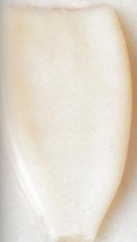 Mustekalan vatsapussin käyttäminen