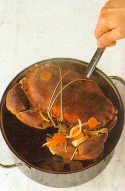 Ravun nostaminen reikäkauhalla