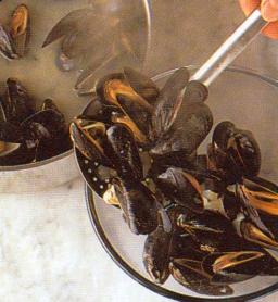 Simpukoiden nostaminen reikäkauhalla