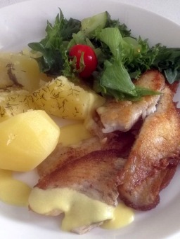 Paistettua kampelaa lautasella