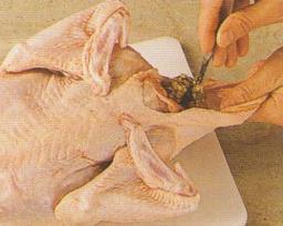 Linnun paneminen työlaudalle