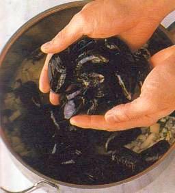 Simpukoiden puhdistaminen