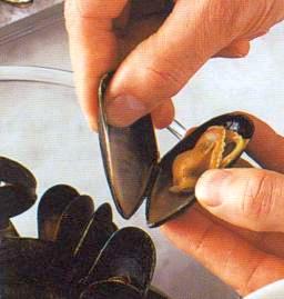 Simpukan puhdistaminen ja höyryttäminen