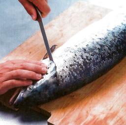 Vedä ensimmäinen viilto kidusten ympäri